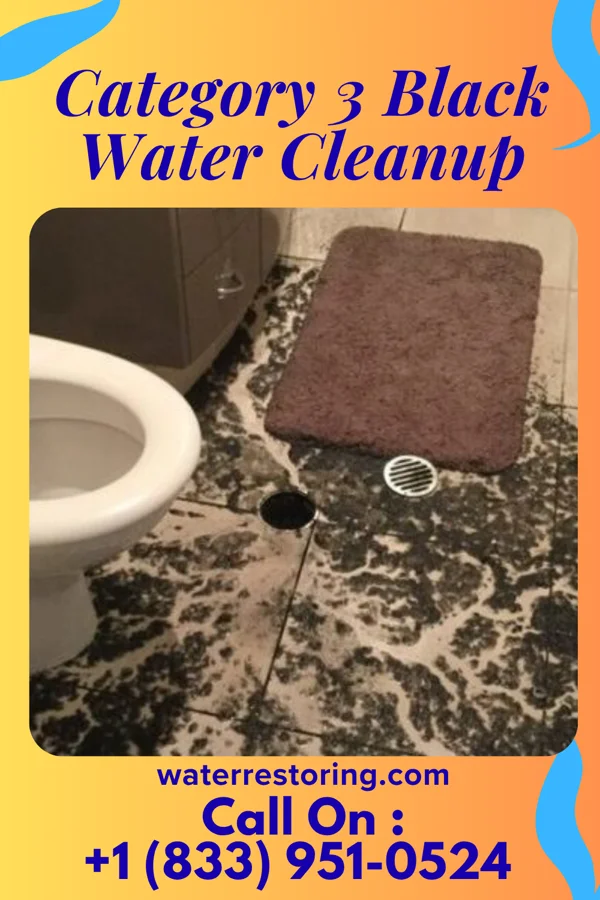 Category 3 Black Water Cleanup in Belmar, NJ