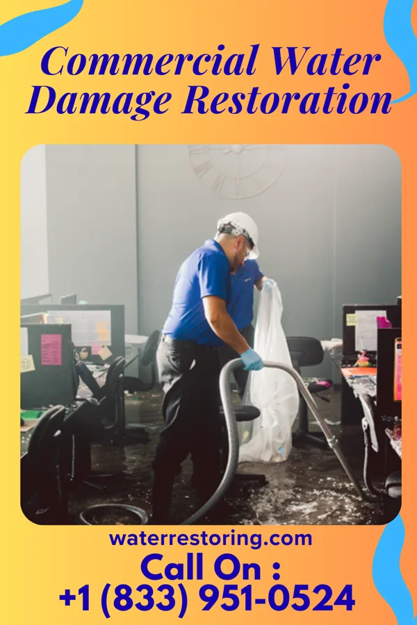 Commercial Water Damage Restoration in Belmar, NJ