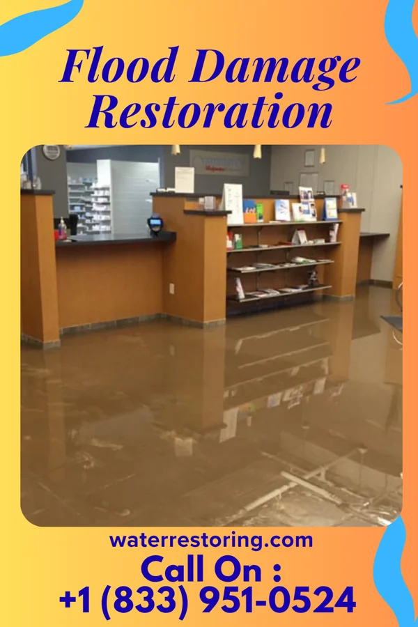 Flood Damage Restoration in Belmar, NJ