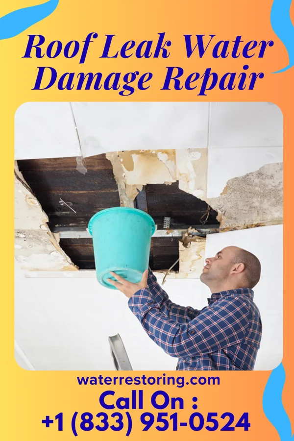 Roof Leak Water Damage Repair in Belmar, NJ