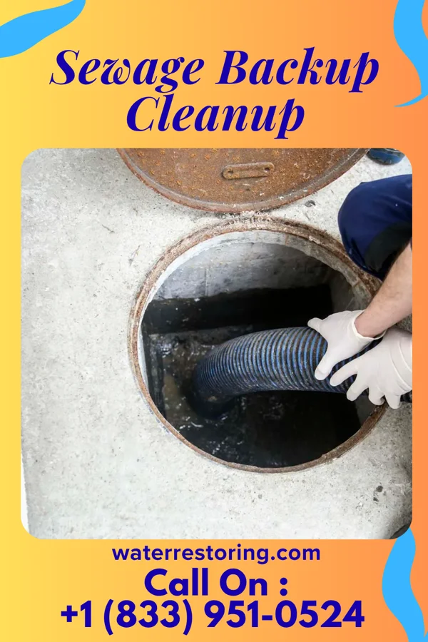 Sewage Backup Cleanup in Belmar, NJ