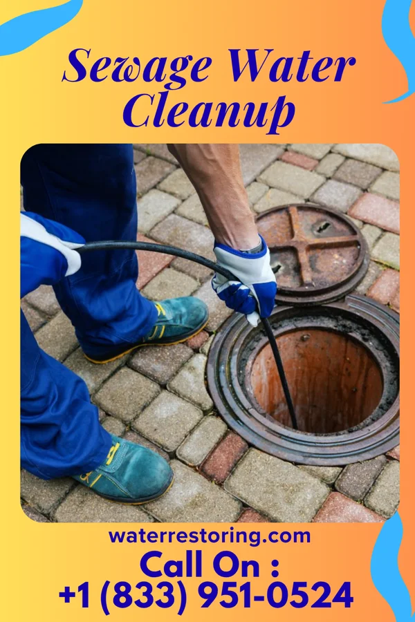 Sewage Water Cleanup in Belmar, NJ